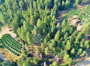 1781 Trinity Pines Dr, Hayfork, CA 96041