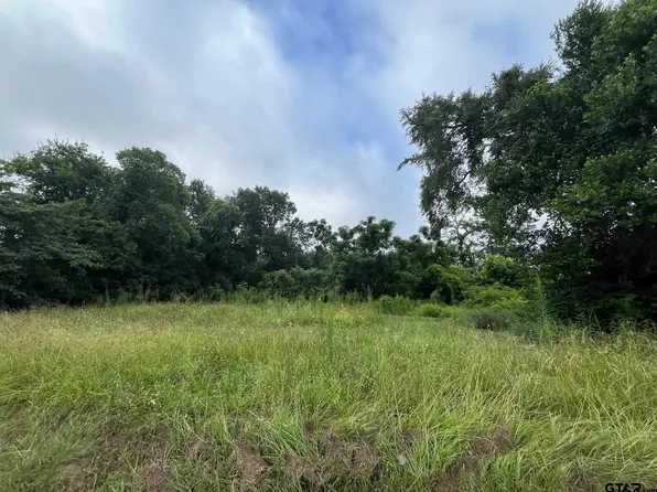 3 W Dobbs St, Tyler, TX 75701