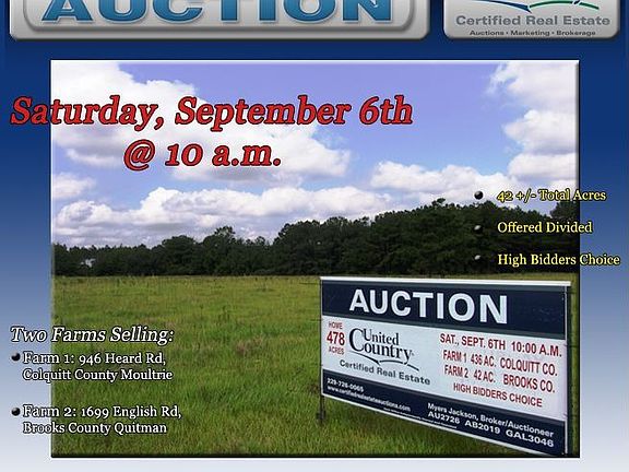 Georgia Land Auction Georgia Real Estate Auction and Georgia Land For Sale