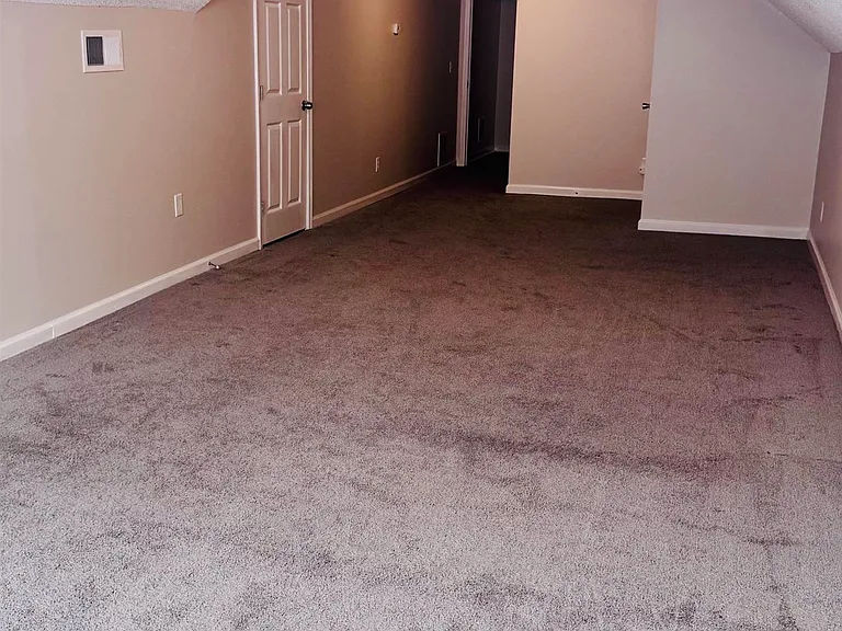 8618 Wine Leaf Cv — Photo 24