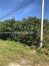 4th image of 3804 Mandarin Ave