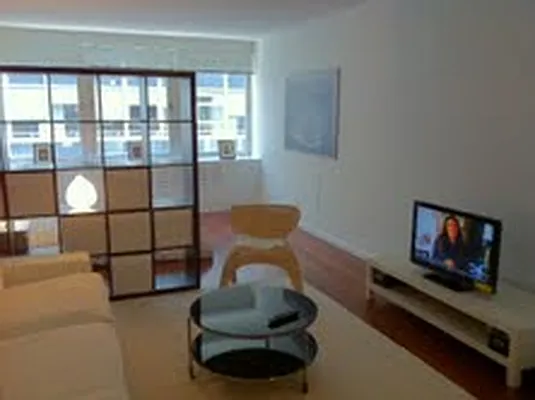 Rented by NY Living Solutions | media 50