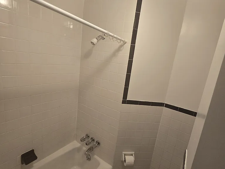 334 E 73rd St #3A — Photo 9