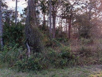 1224 Ramus St E, Lehigh Acres, FL, 33974