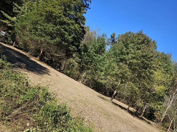 0 Sugar Tree Trl, Birchwood, TN 37308