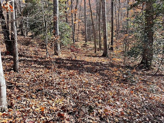 5th image of Tbd Ashe Knob Drive LOT 69J +