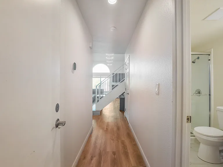 Azores Cir — Photo 32