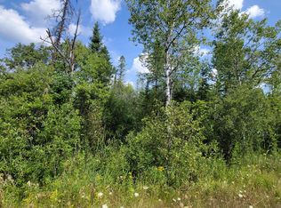 15225 Lakeview Dr, Wolverine, MI 49799
