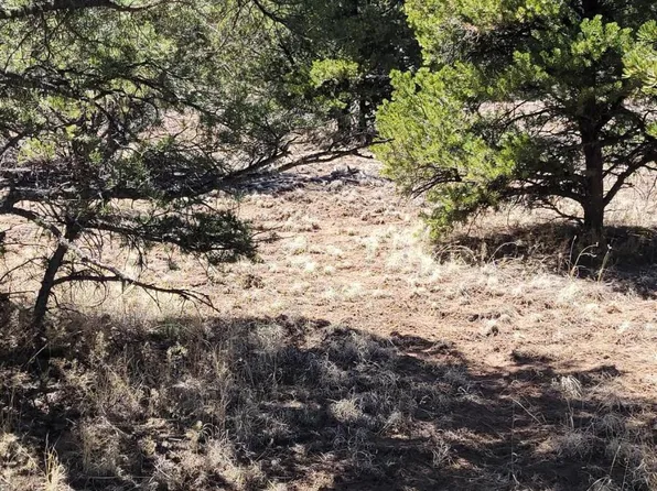 Papoose Pl, Datil, NM 87821