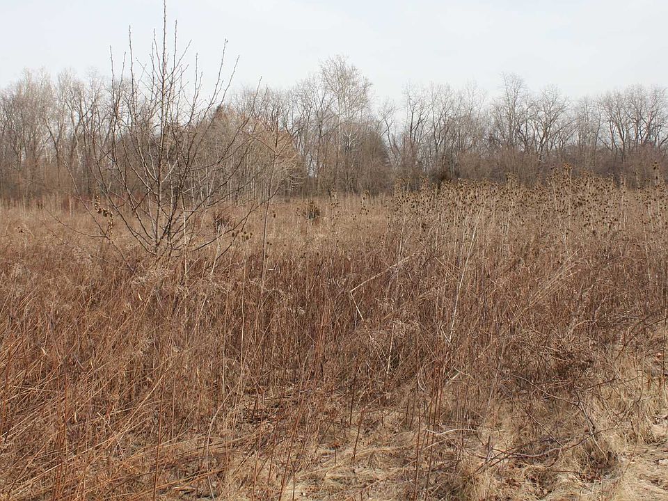 2nd image of Degarmo Rd