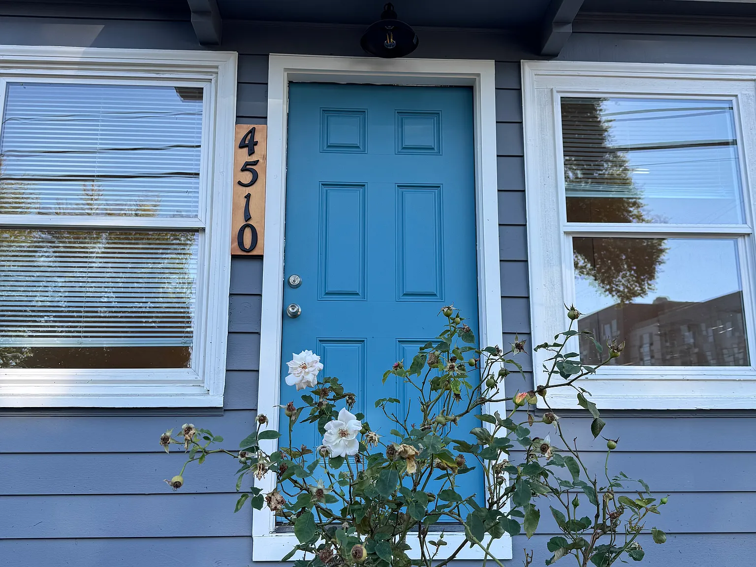 1 bed, 570 sqft, $1,495 — Photo 4