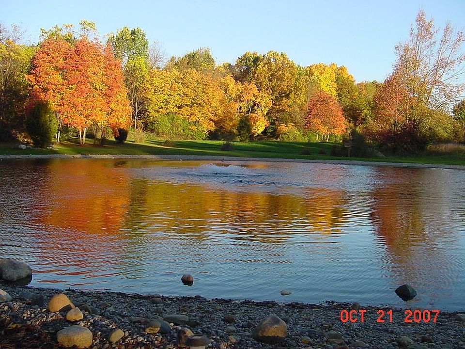 Pond