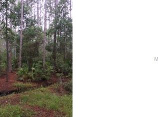 1385 Skeeter Ranch Rd, Deland, FL 32724