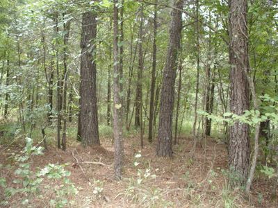 Big Bear Rd, Story, AR, 71970