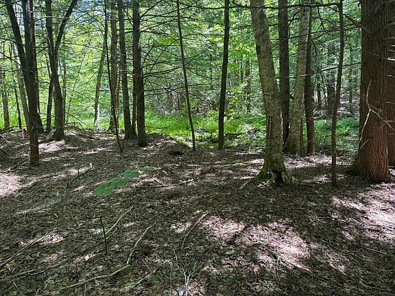 3rd image of 0 Old Stage Rd
