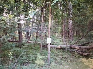 Woodland Dr, Lake, MI 48632