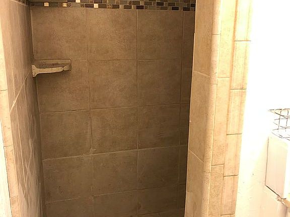 Master bath shower 