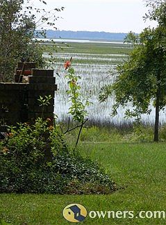 view from side yard