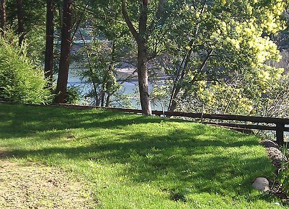 Scotia Bridge view
						:
						River view North