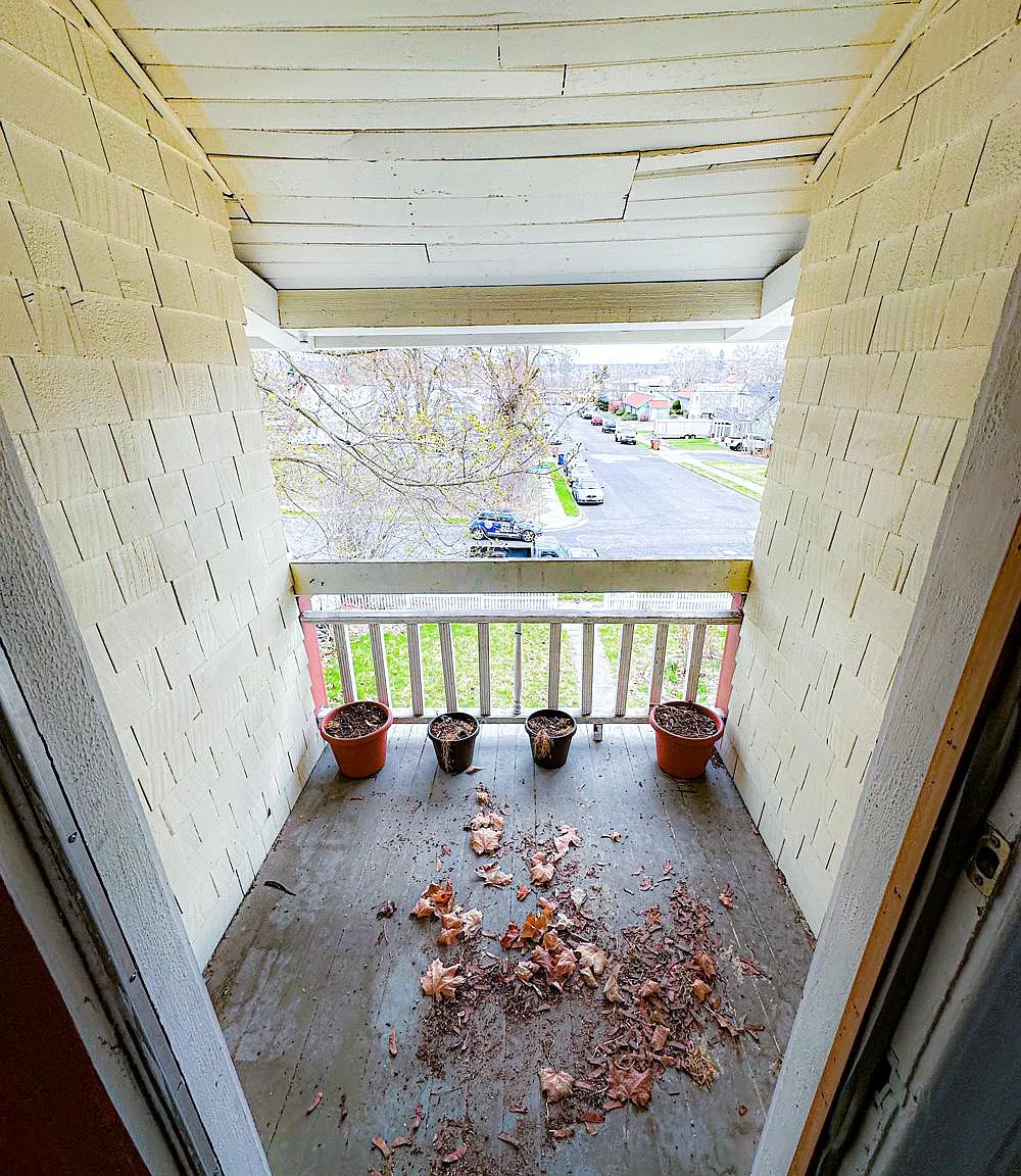 2 bed, 1000 sqft, $1,500 — Photo 2