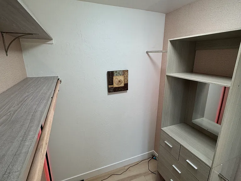 Primary closet