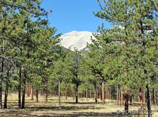 16700 Pine Grove Pkwy, Buena Vista, CO 81211