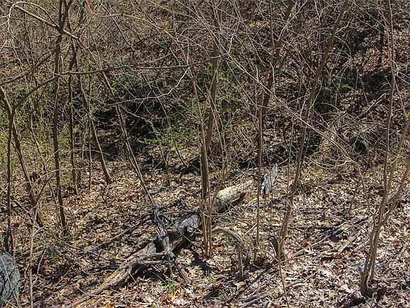 5th image of N Dometrorch Rd