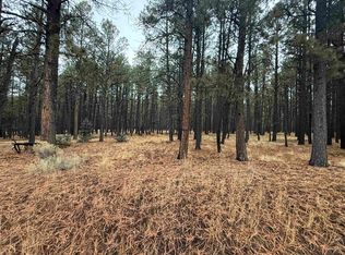 LOT 122 San Juan Dr, Angel Fire, NM 87710