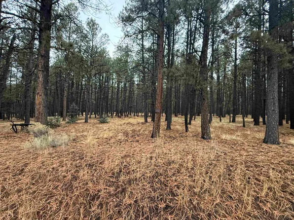 LOT 122 San Juan Dr, Angel Fire, NM 87710