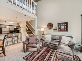 755 S 5th Ave APT 214, Frisco, CO 80443