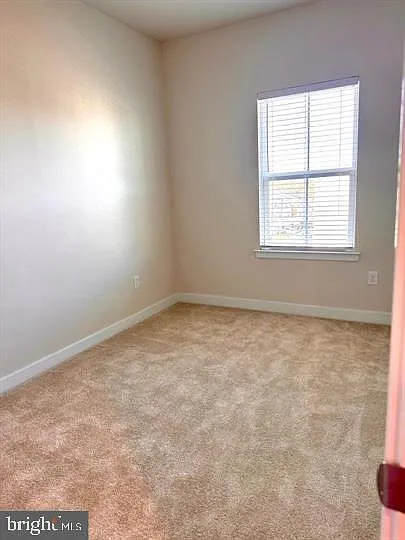 66 Glory Maple Ln — Photo 23