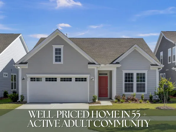 253 River Martin Ct, Summerville, SC 29483