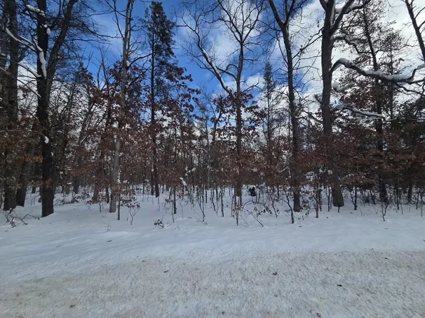 V/l S Astor Rd, Baldwin, MI 49304
