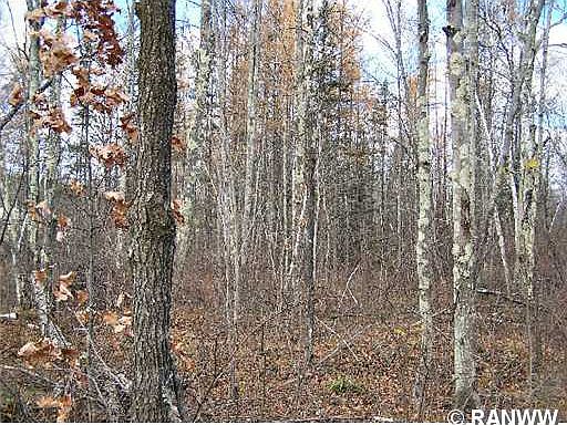 3rd image of Lot 16 W Hemlock Haven Road