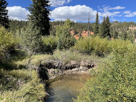 2nd image of 65 E Tommy Creek Rd