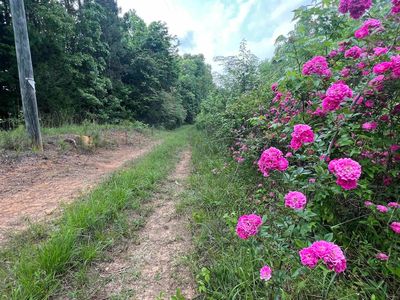5 Woods Bend Rd LOT 5, Ragland, AL, 35131