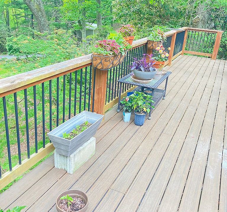 2nd image of 357 Kalmia Ln