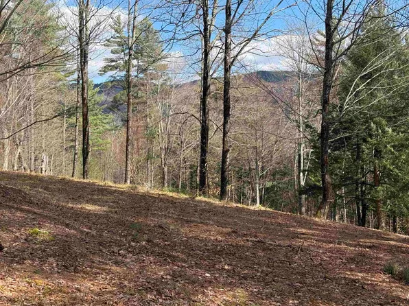 00 Brook Road, Warren, VT 05674