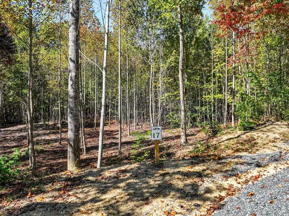 Smoky Mountain Way Lot 17, Cosby, TN 37722