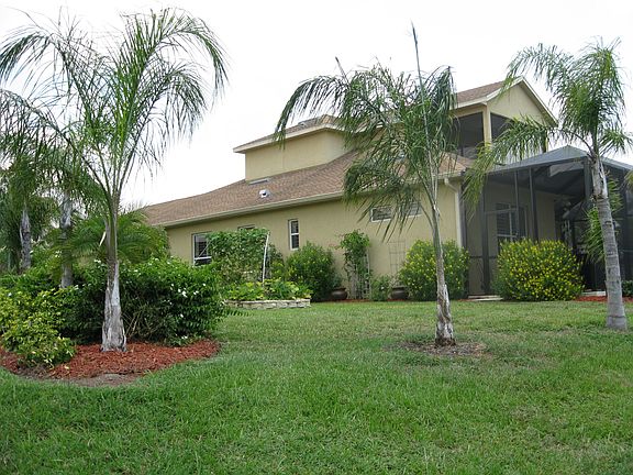 Mature yard plantings.
