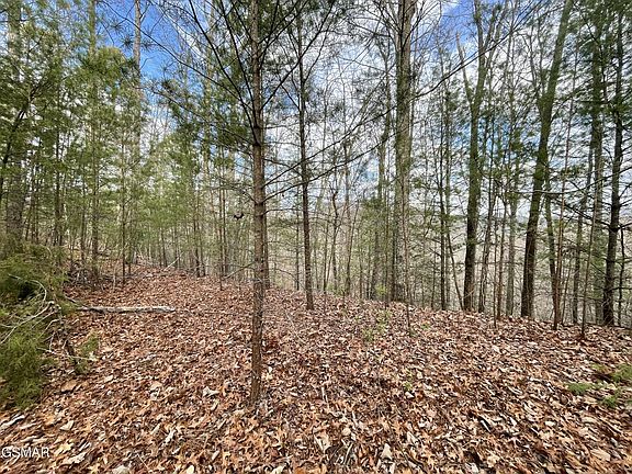 2nd image of 79 Whetstone Rd Lot 79