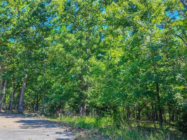 LOT 1318 Champion Ct, Sunrise Beach, MO 65079