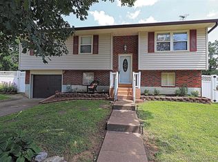 104 N Trailwood St, Desloge, MO 63601