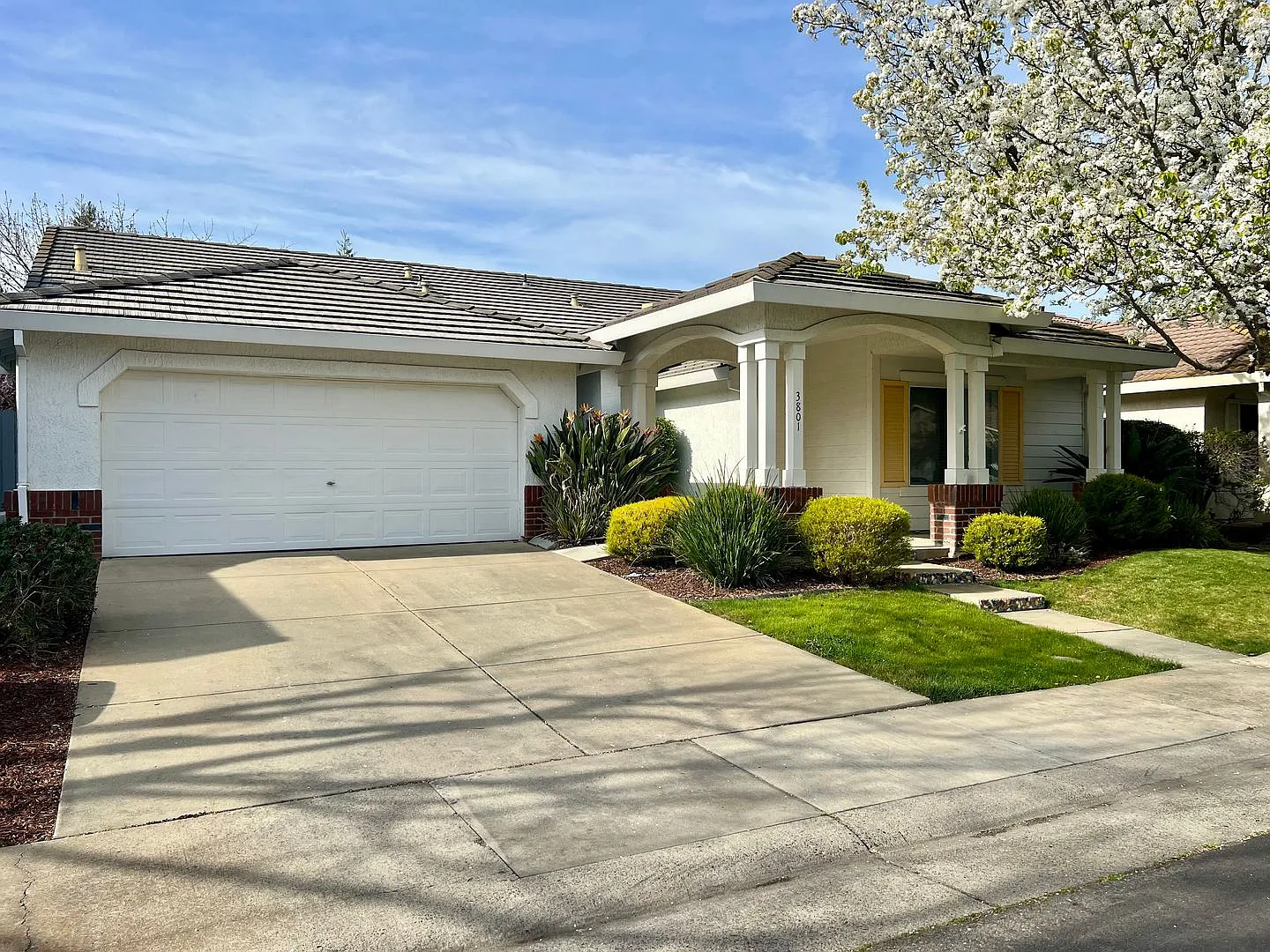 3801 Haack Way photo 1
