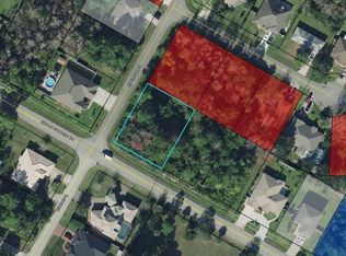 210 Bird Of Paradise Dr, Palm Coast, FL 32137