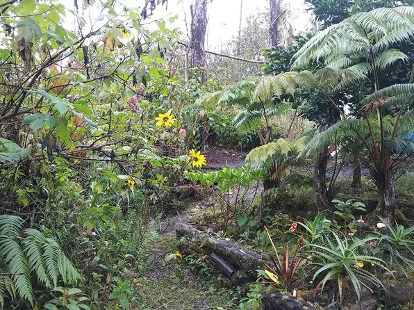 11-2060 Kaleponi Rd Lot 65, Volcano, HI 96785