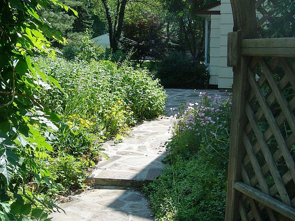 Rear Patio