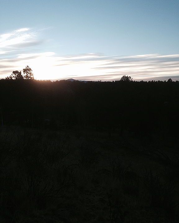 1st image of 1339 Crystal Peak Dr