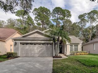 10426 Springrose Dr, Tampa, FL 33626