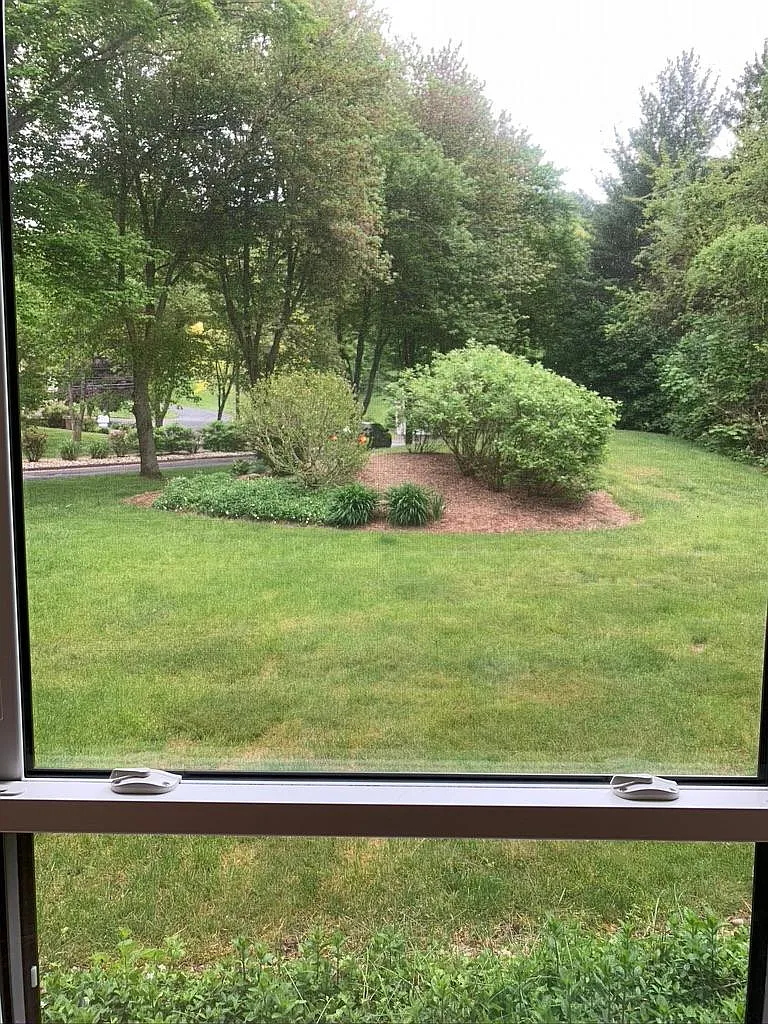 2 bed, 980 sqft, $1,875 — Photo 1